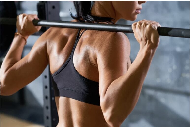 Muscle